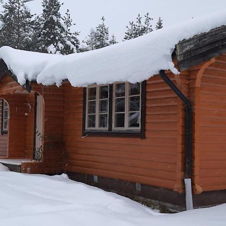 B&B Camp Aengra Lassekrog エクステリア 写真