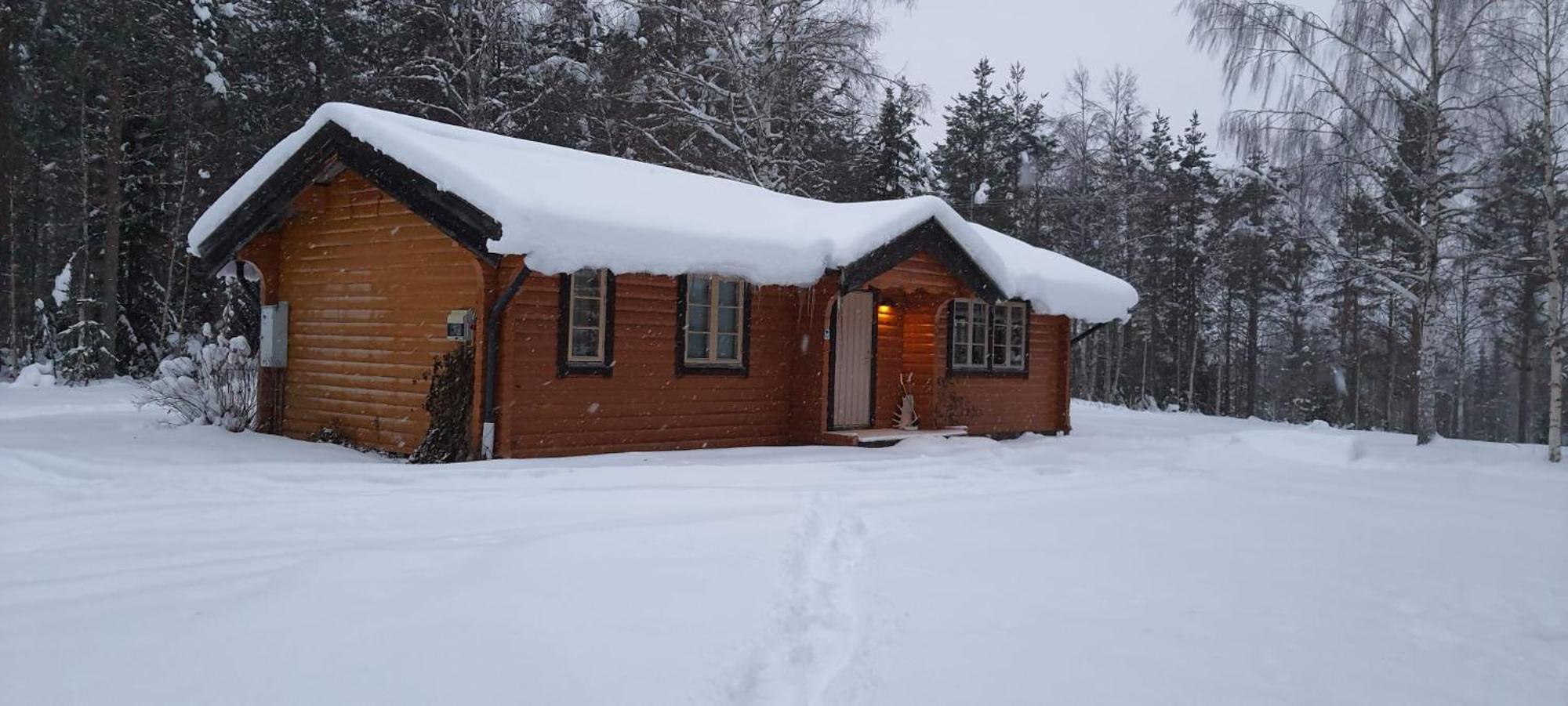 B&B Camp Aengra Lassekrog エクステリア 写真
